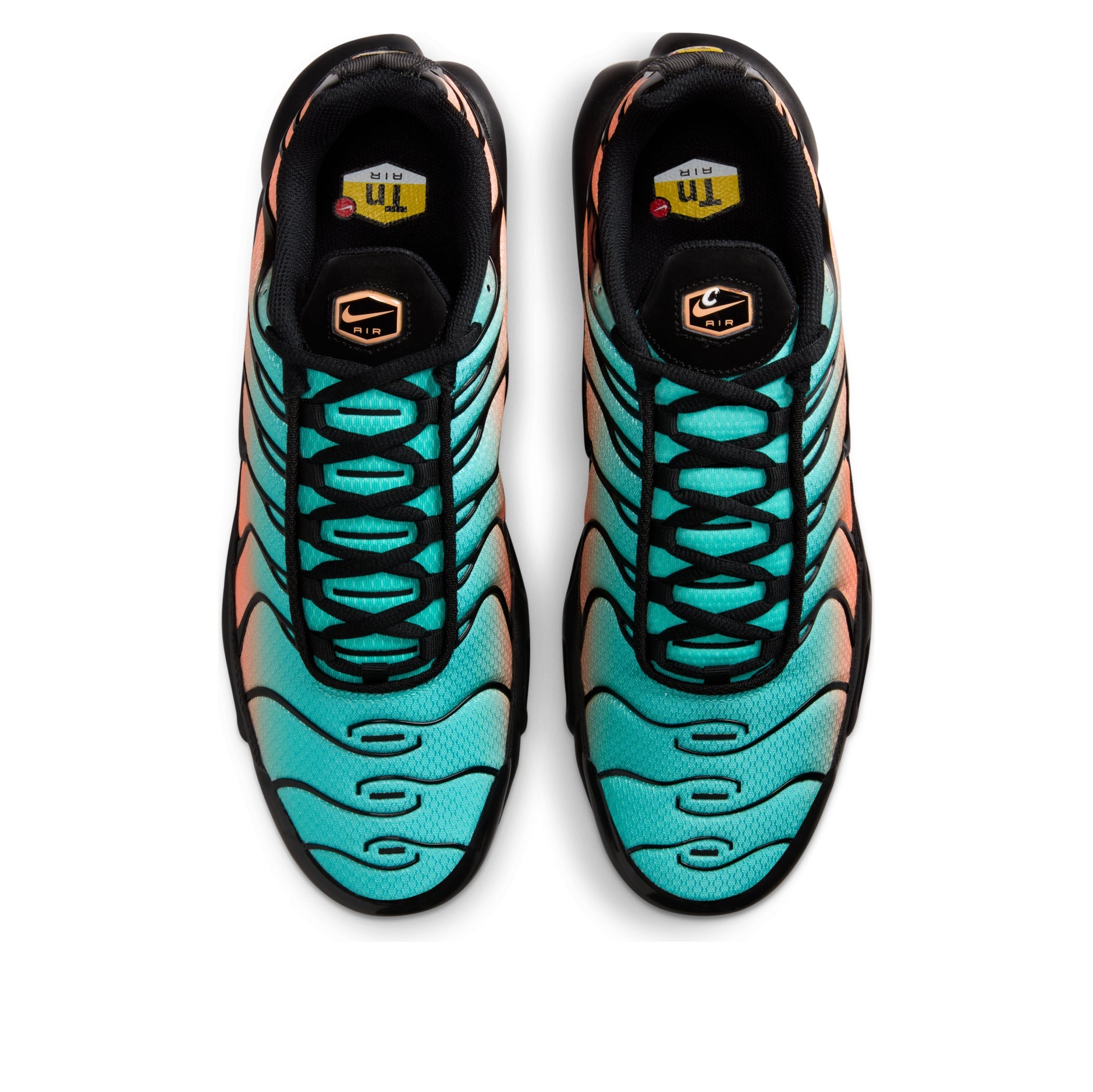 Nike Air Max Plus 'South Beach' DM0032-022