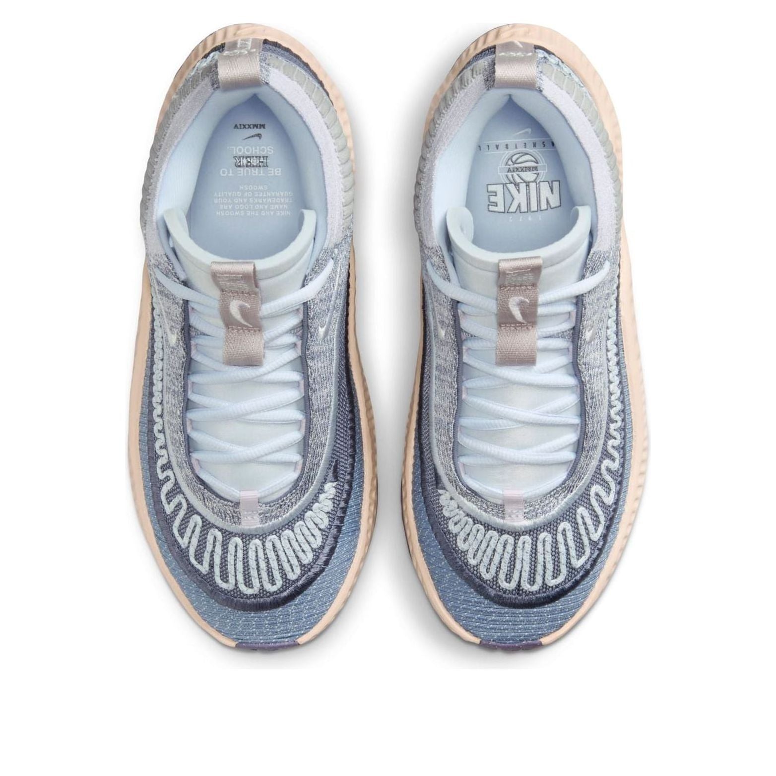 (WMNS) Nike Cosmic Unity 3 'Be True To Her School' FV3526-010