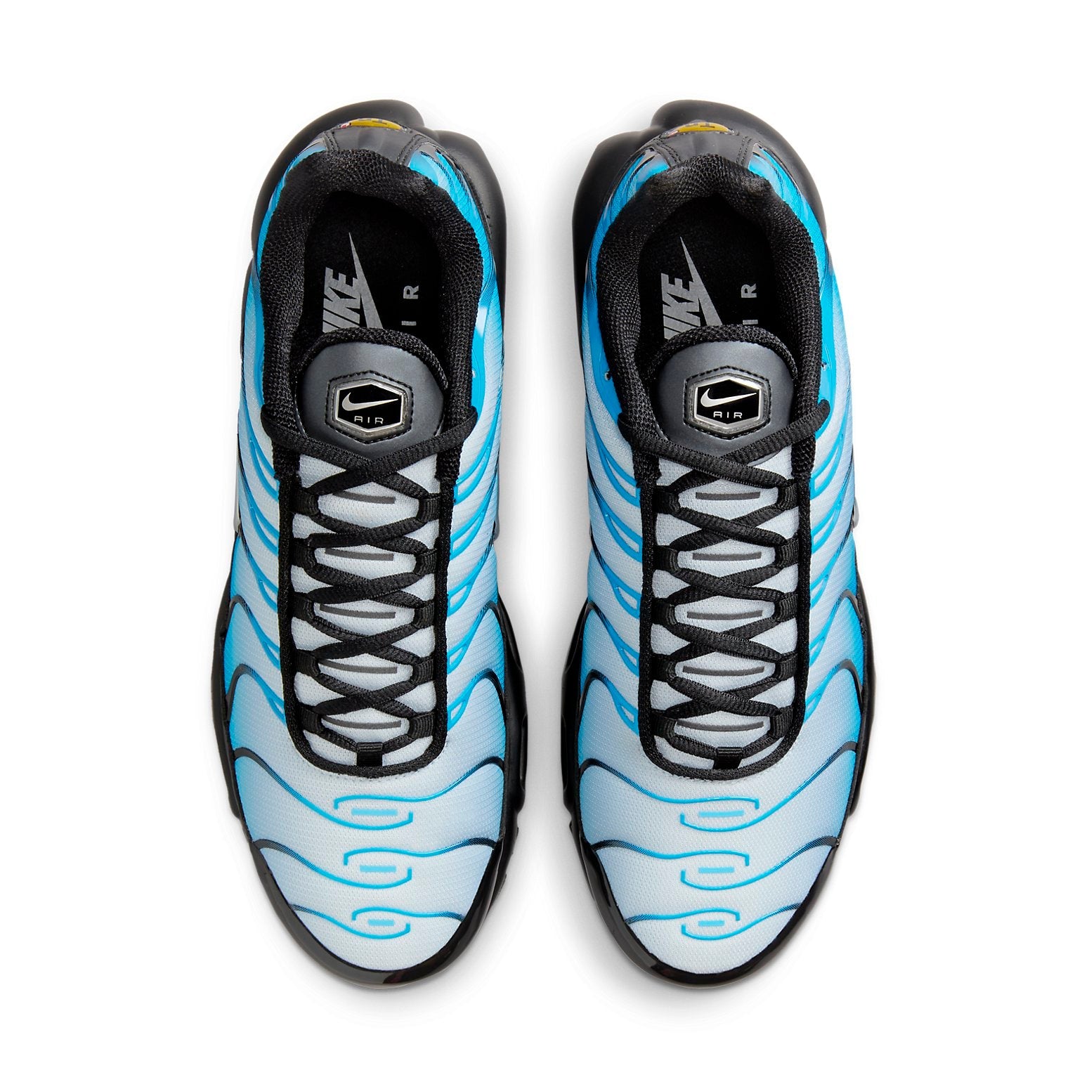 Nike Air Max Plus 'Blue Gradient' FQ0204-010