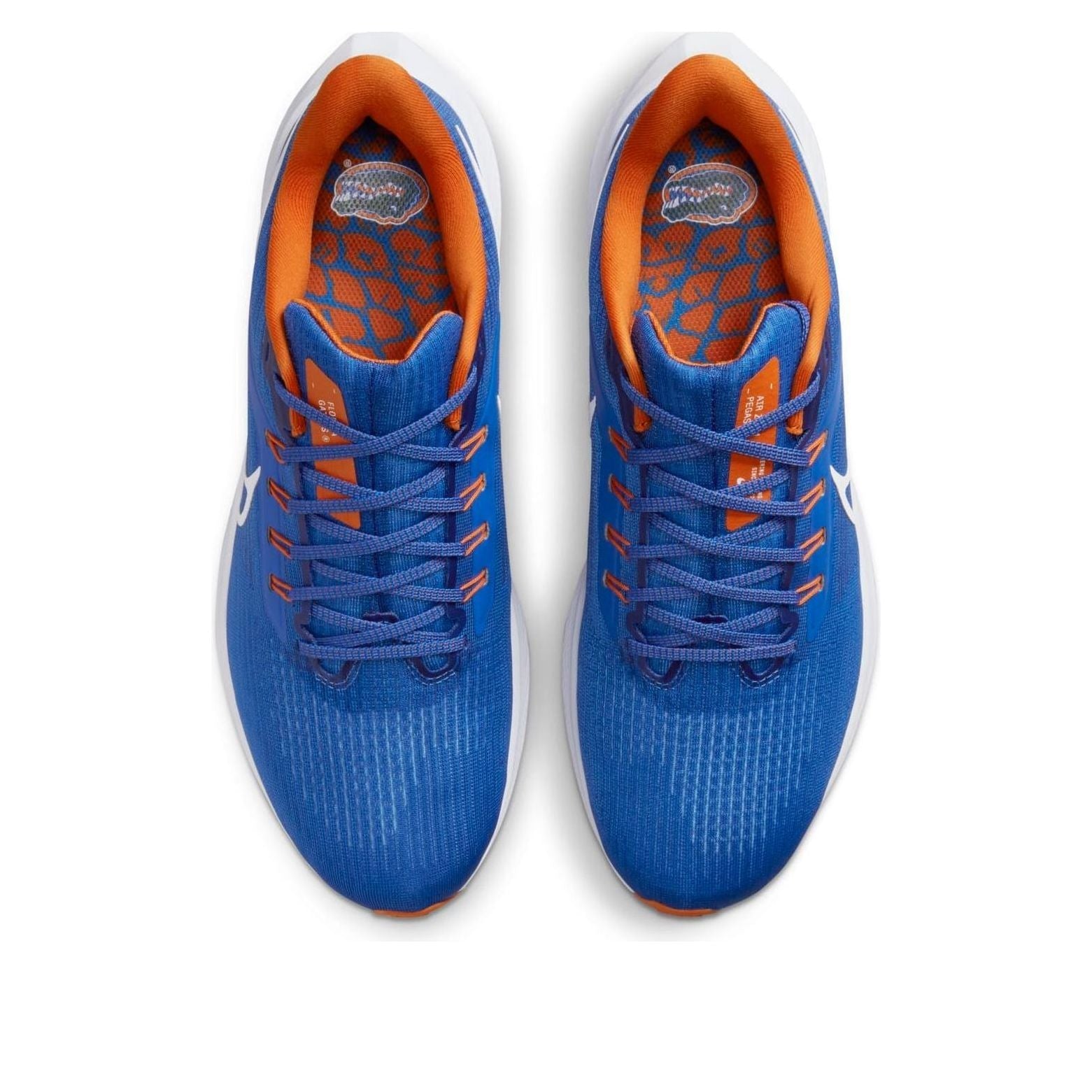 Nike Air Zoom Pegasus 39 'Florida Gators' DR1962-400