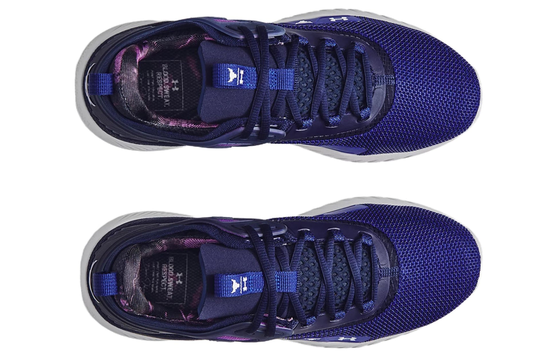 Under Armour Project Rock 5 Disrupt 'Bauhaus Blue' 3025976-401