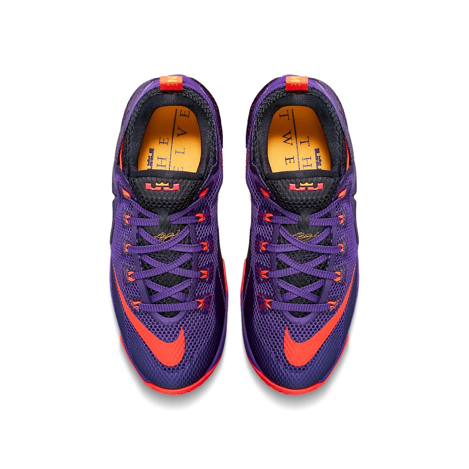(GS) Nike Lebron 12 Low 'Purple' 744547-565
