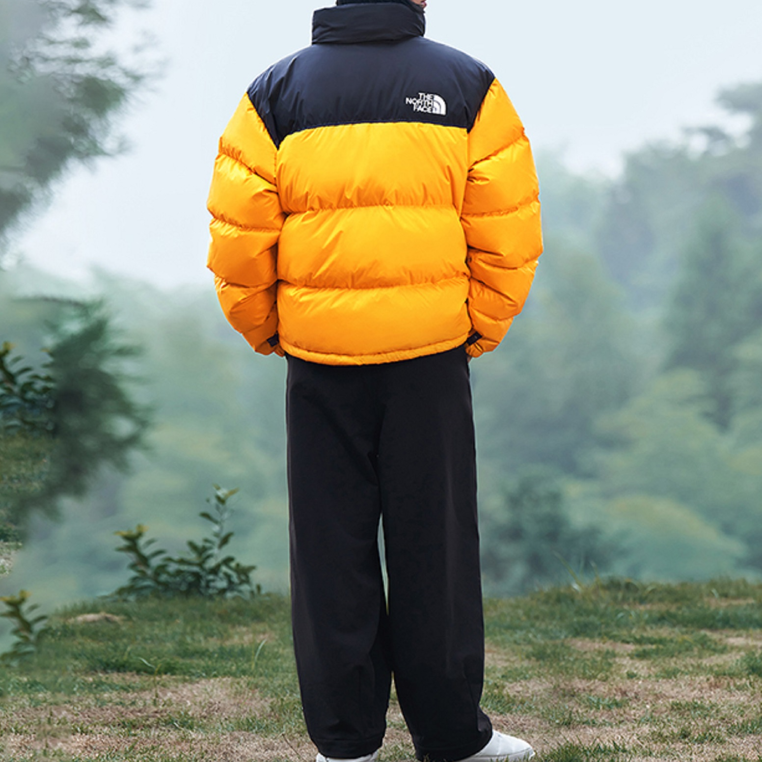 THE NORTH FACE 1996 Nuptse Jacket 700 NF0A3C8D-78M