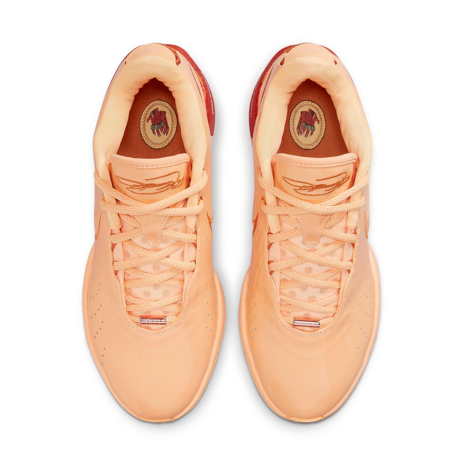 Nike LeBron 21 'Melon Tint' FV2345-800