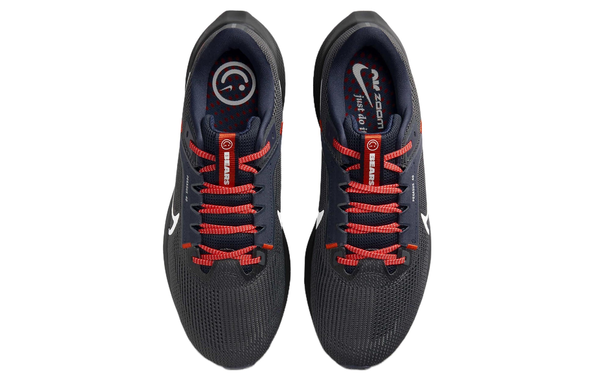 Nike x NFL Air Zoom Pegasus 40 'Chicago Bears' DZ5989-001