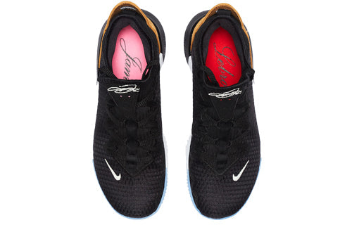 Nike LeBron 16 Low 'Soundtrack' CI2668-001