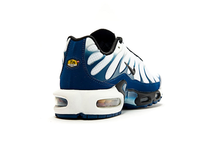(WMNS) Nike Air Max Plus 'Blue Force' CD7061-100