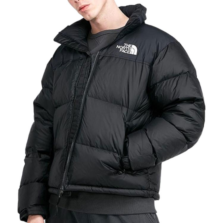 THE NORTH FACE 1996 ECO NUPTSE NJ1DN75A