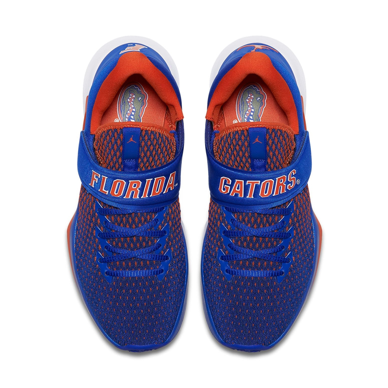 Air Jordan Trainer 3 'Florida Gators' AR1402-400