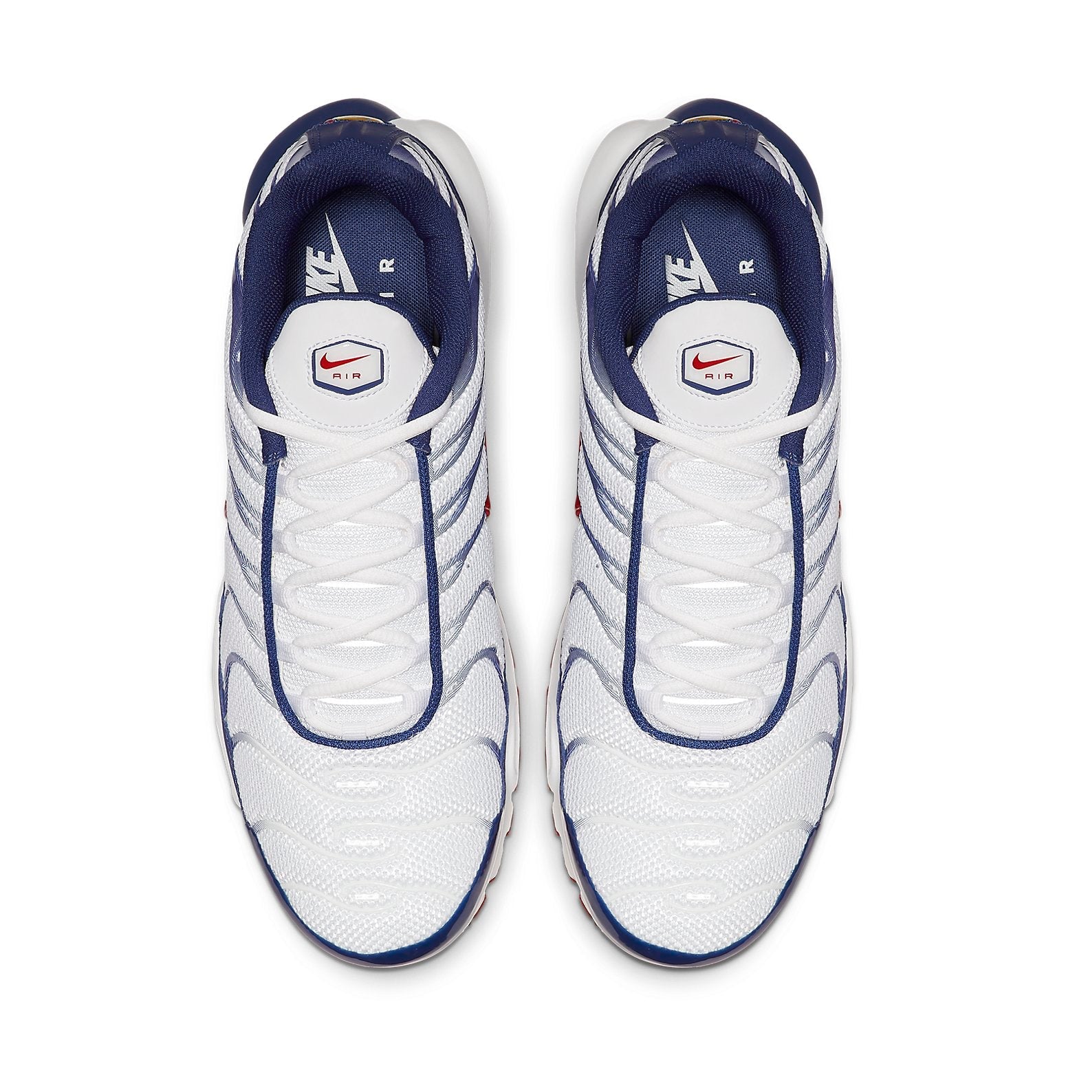Nike Air Max Plus 'Red White Blue' CJ9928-100