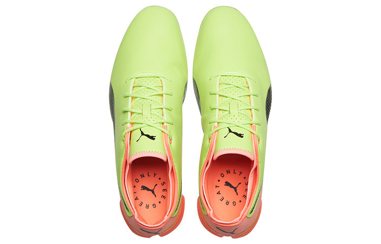 PUMA Ignite Proadapt Green/Black 194083-01