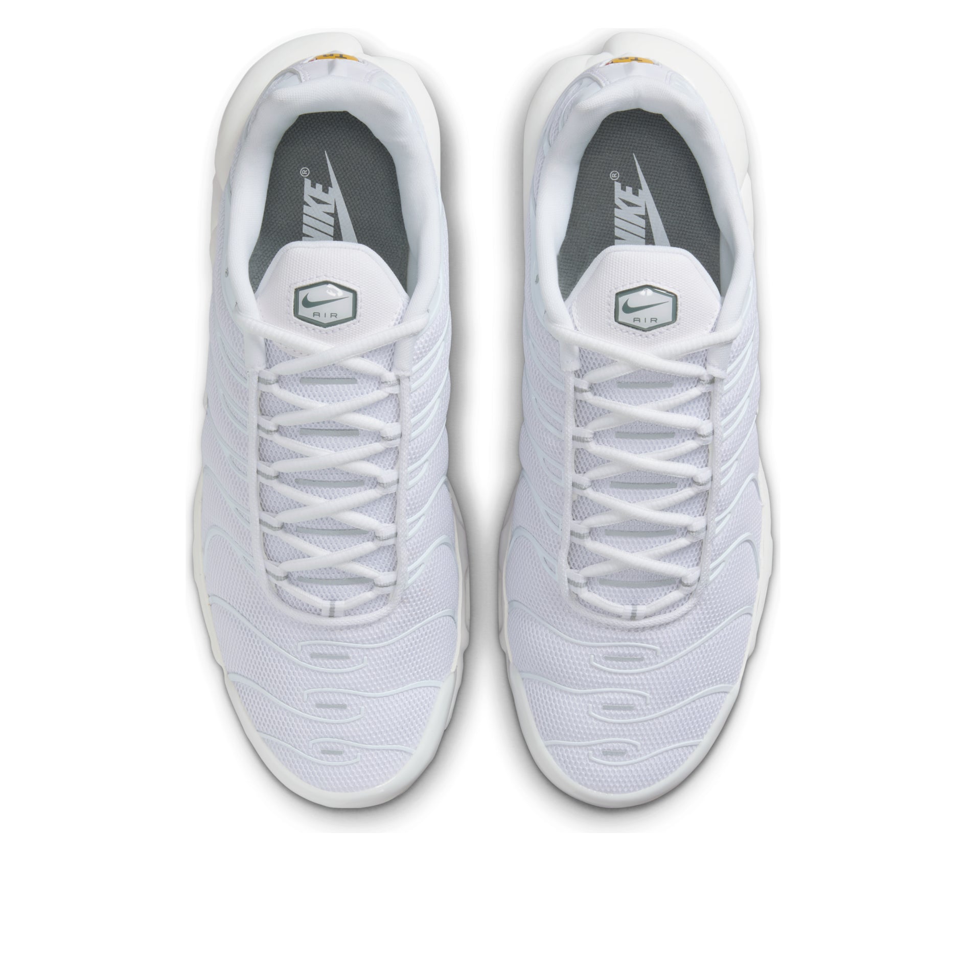 Nike Air Max Plus 'White' 604133-139