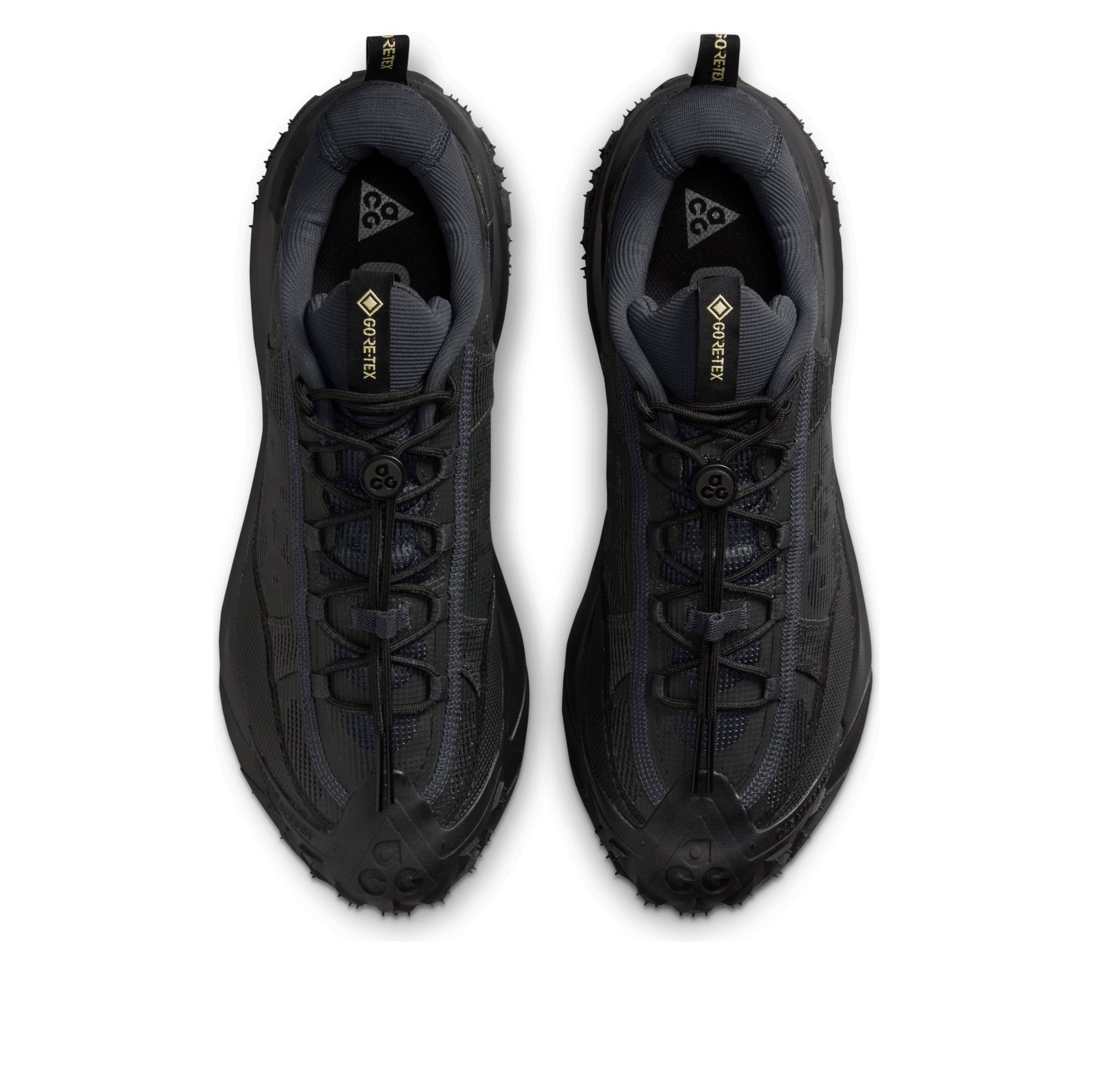 Nike ACG Mountain Fly 2 Low Gore-Tex 'Dark Smoke Grey' HF6245-001