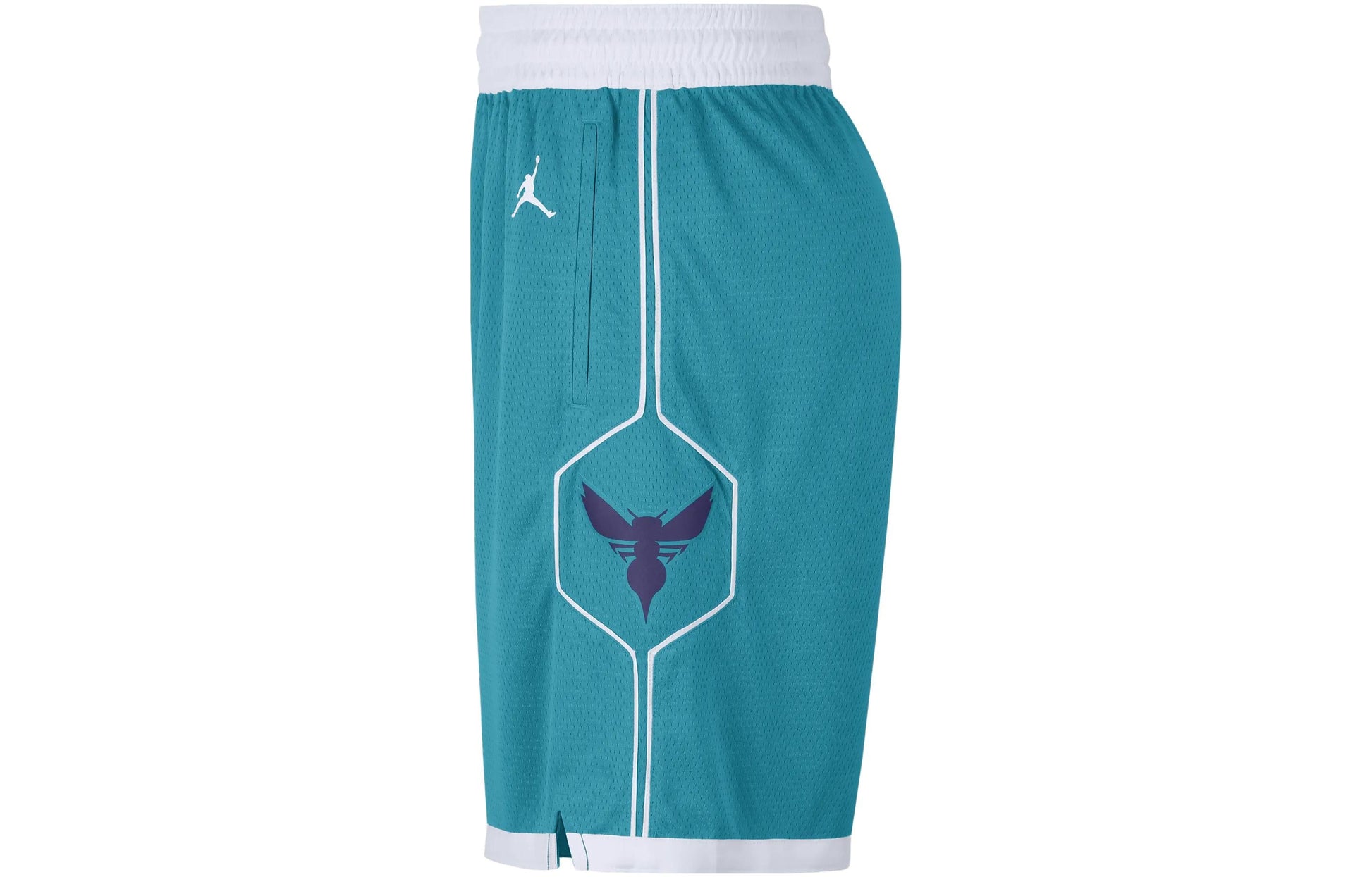 Air Jordan Hornets Icon Edition 2020 NBA Swingman Shorts 'Teal White' CN8083-443
