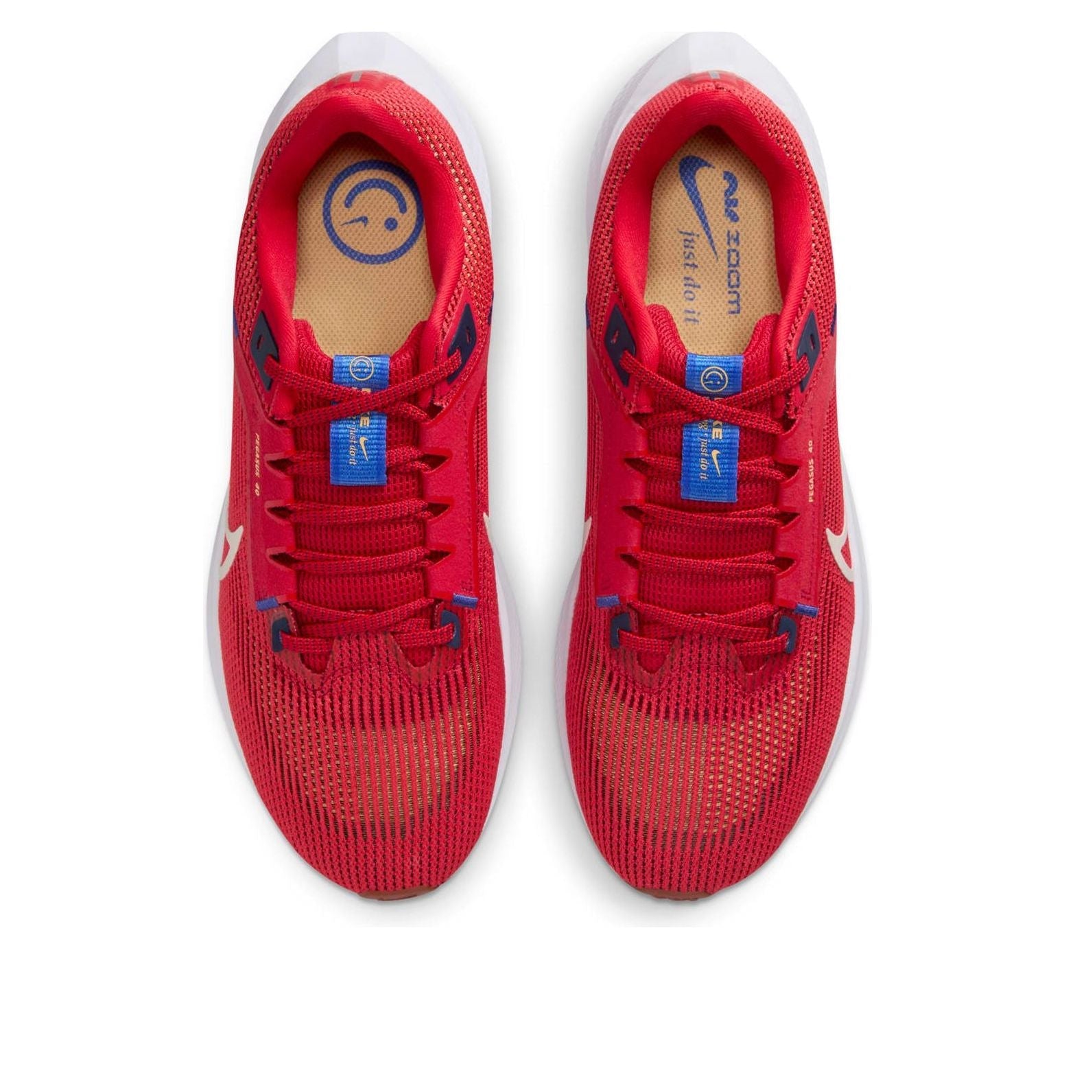 Nike Air Zoom Pegasus 40 'University Red Sea Glass' DV3853-600