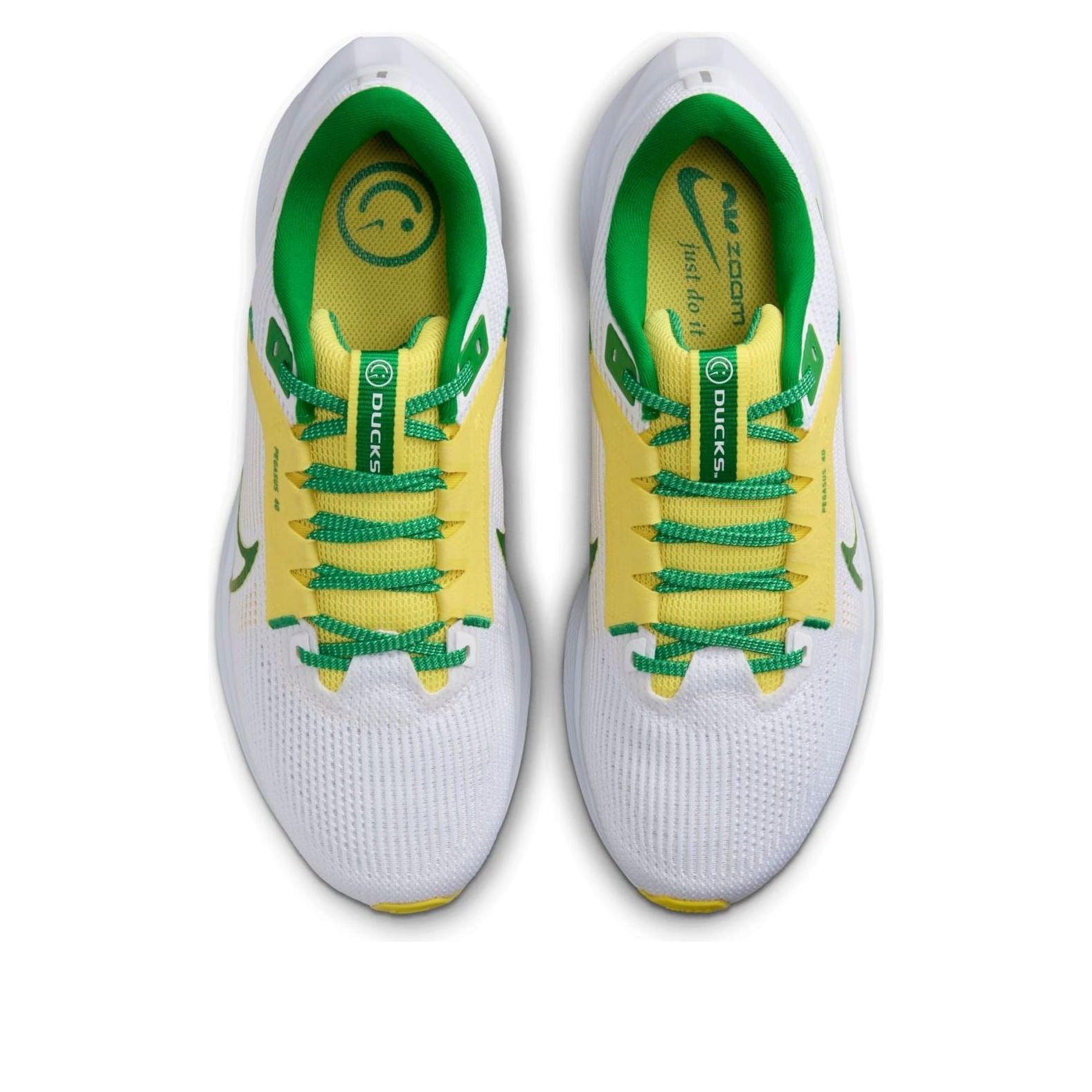 Nike Air Zoom Pegasus 40 'Oregon' DZ5979-100