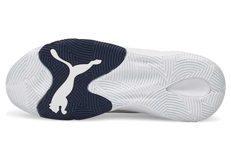 PUMA Rebound Future Evo Gray/Blue 374899-03