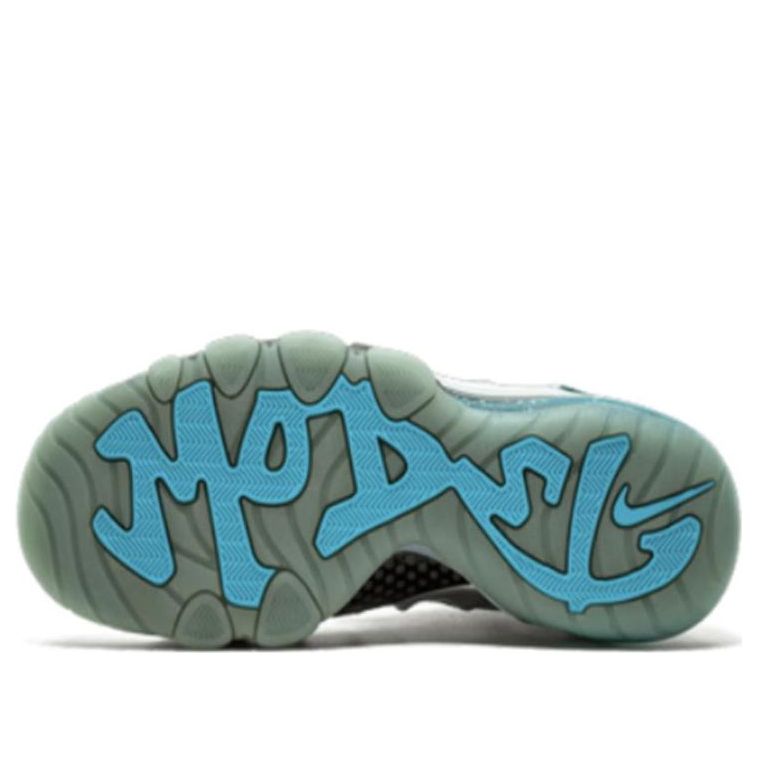 Nike Barkley Posite Max 'Splatter' 555097-040