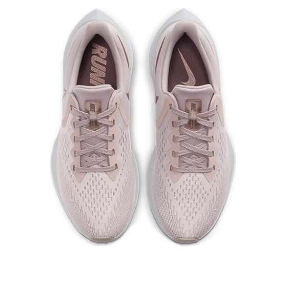 (WMNS) Nike Air Zoom Winflo 6 'Stone Mauve' AQ8228-200