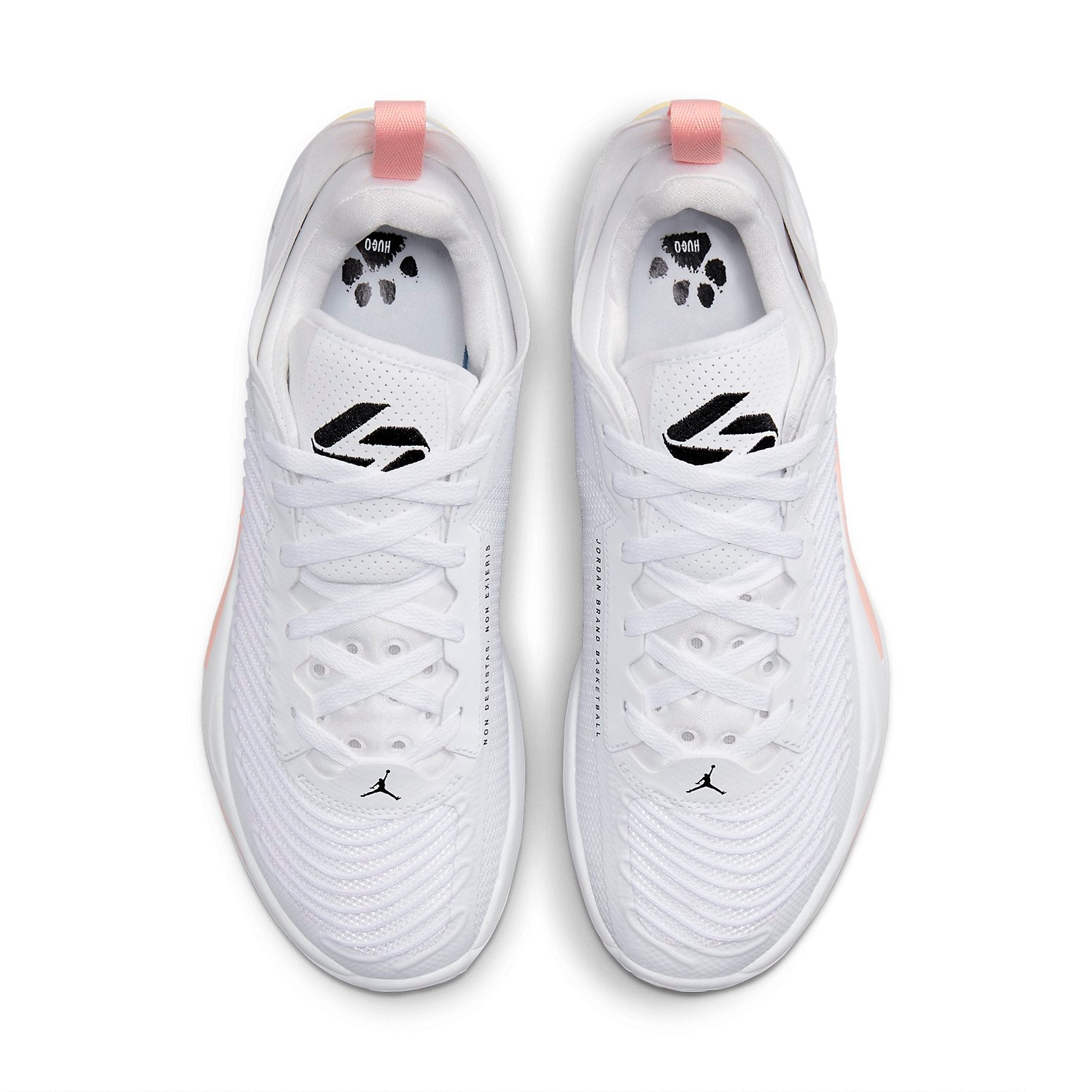 Air Jordan Luka 1 'Dog Dad' DN1771-106