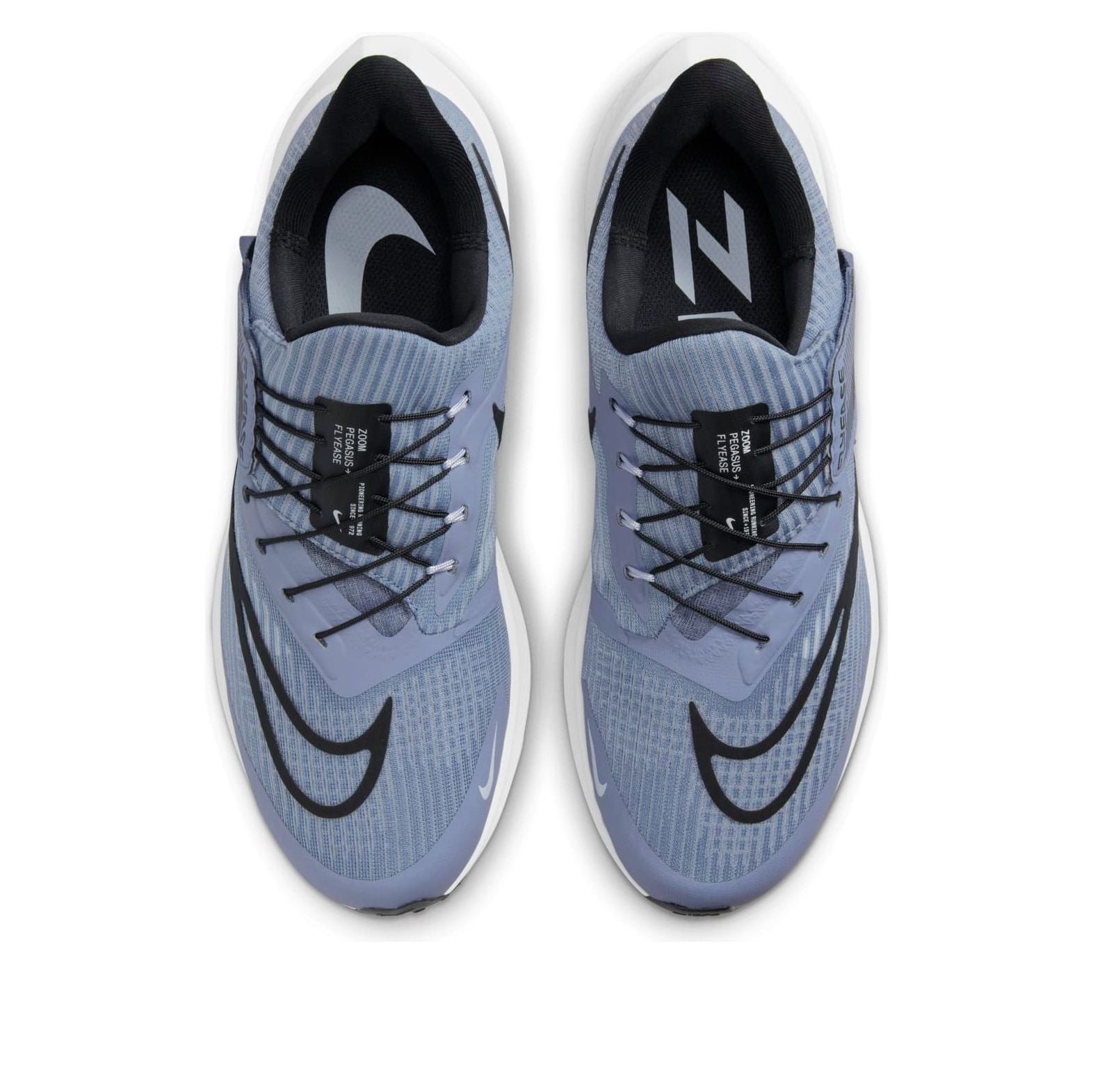 Nike Air Zoom Pegasus 39 'Ashen Slate' DJ7381-400