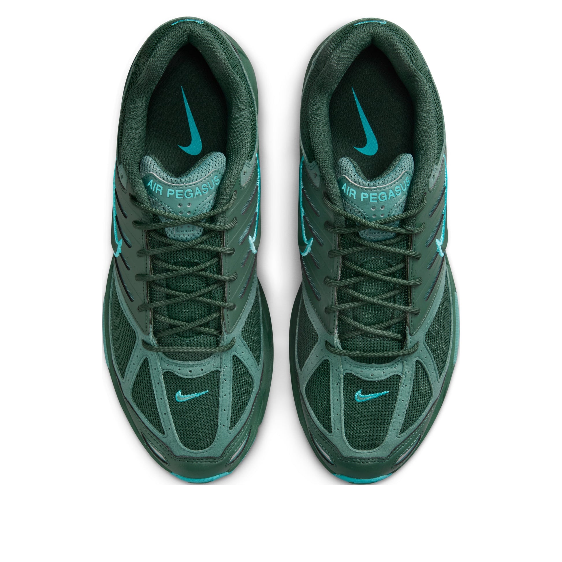 Nike Air Pegasus 2K5 'Fir Bicoastal' FZ7354-300