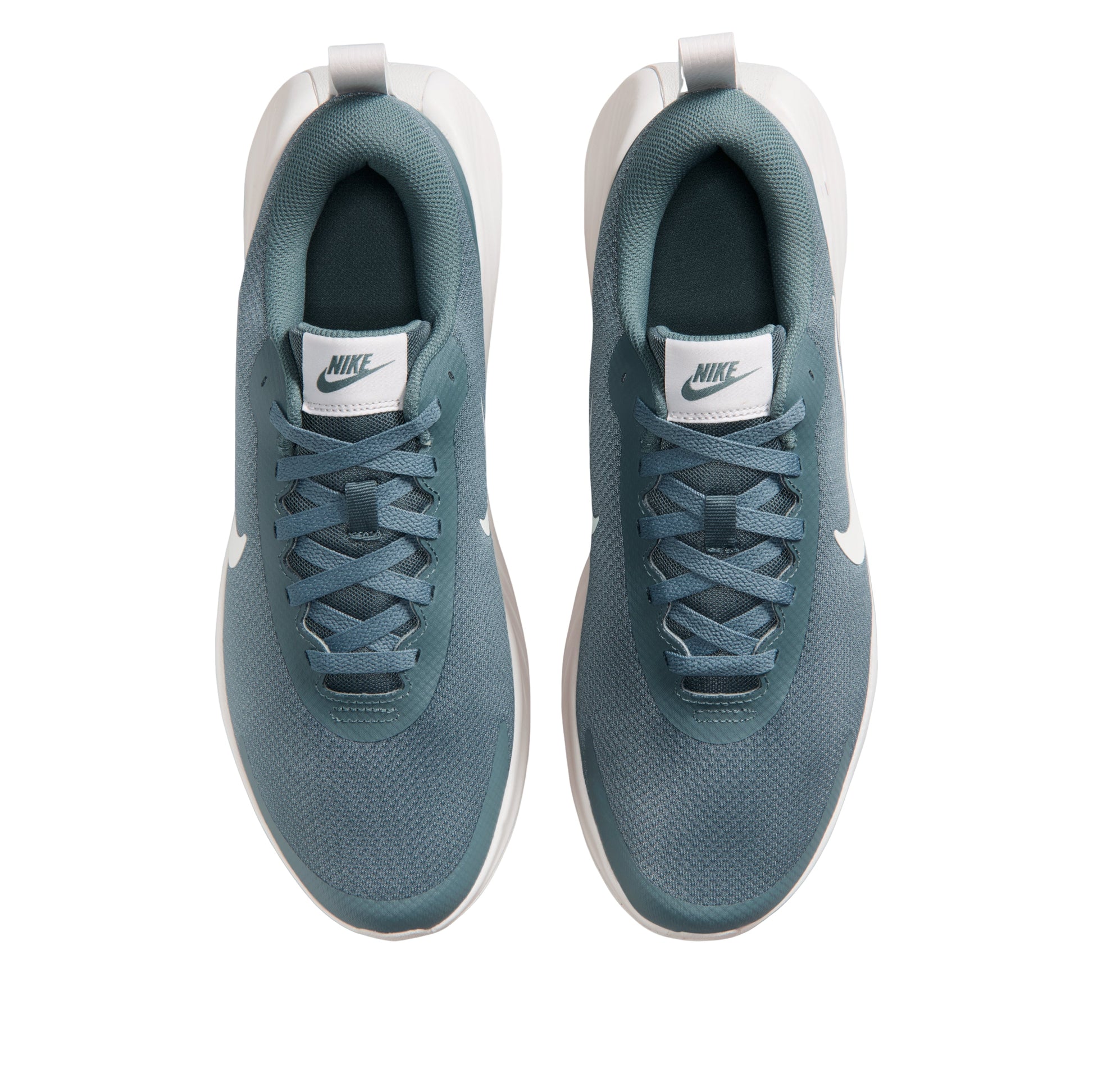 Nike Promina 'Mineral Slate Vast Grey' FV5285-302