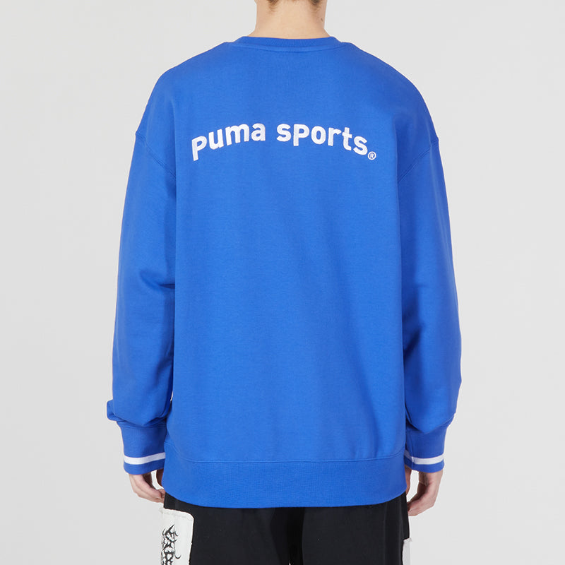 PUMA Team Crew Tr Logo Sweater 'Blue' 620614-92