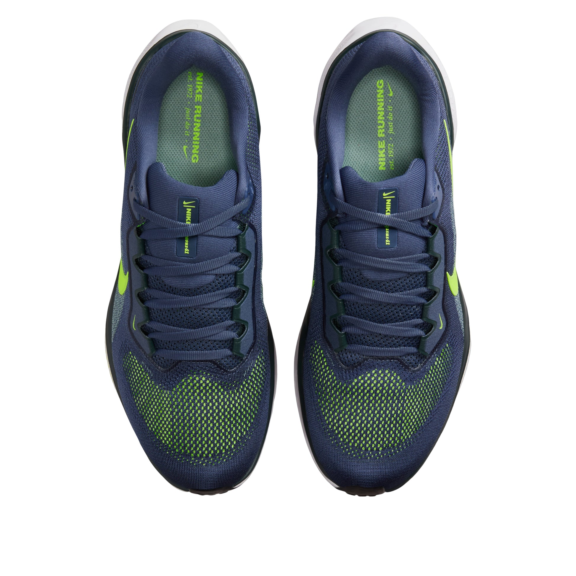 Nike Air Zoom Pegasus 41 'Sanded Purple Seaweed Volt' FD2722-501