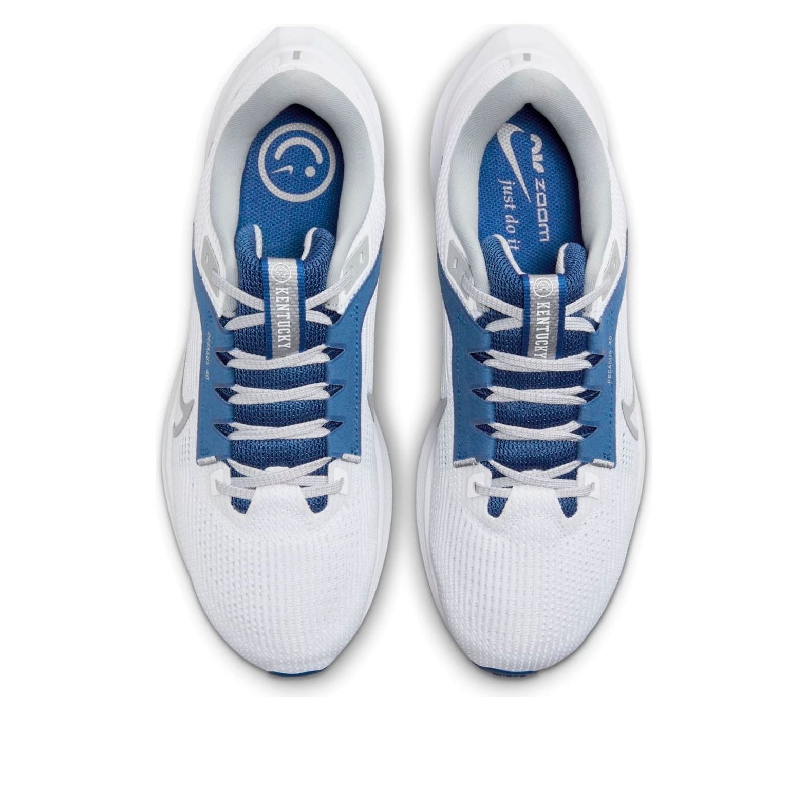 Nike Air Zoom Pegasus 40 'Kentucky' DZ5986-100