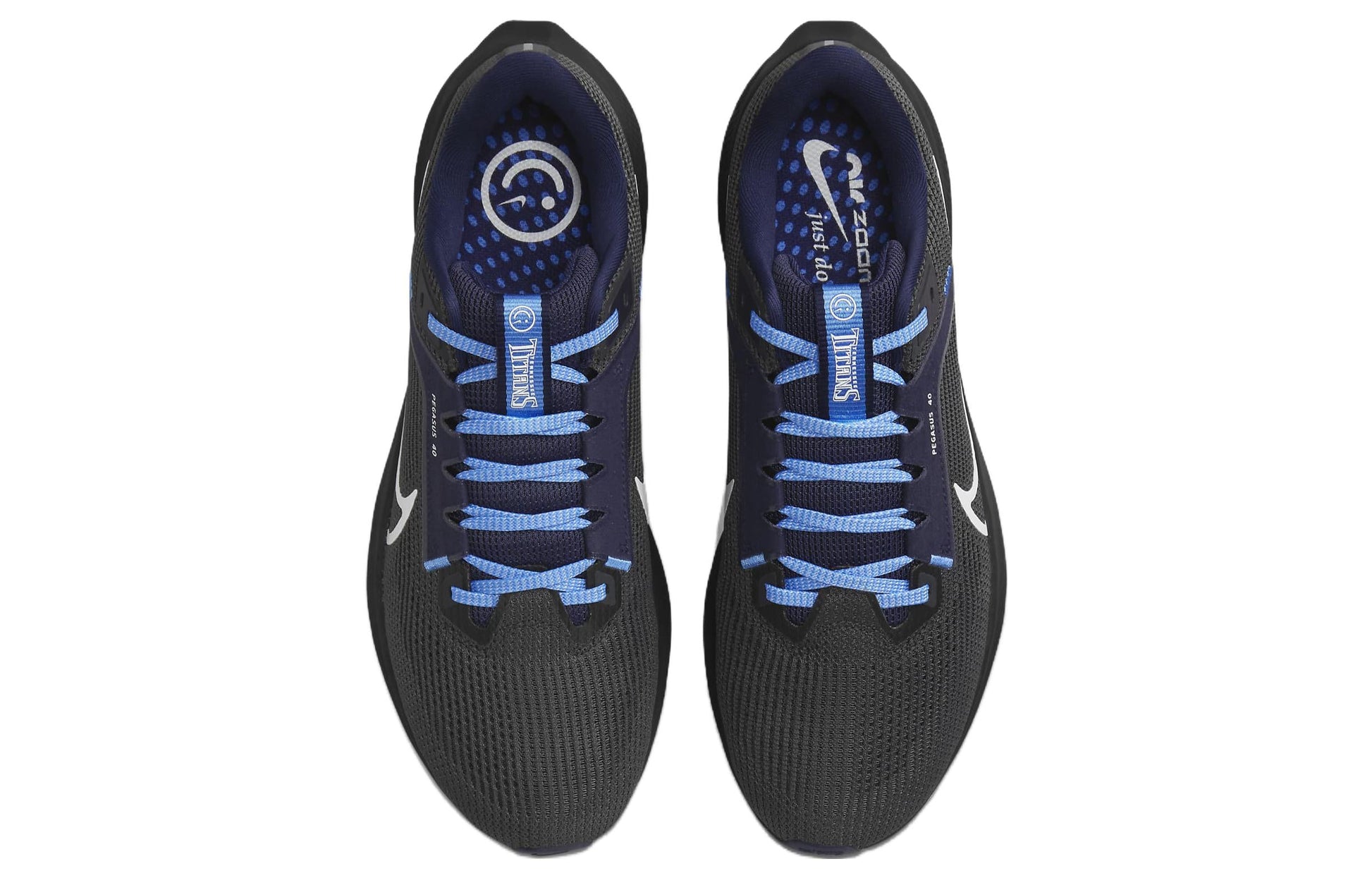 Nike x NFL Air Zoom Pegasus 40 'Tennessee Titans' DZ5970-001
