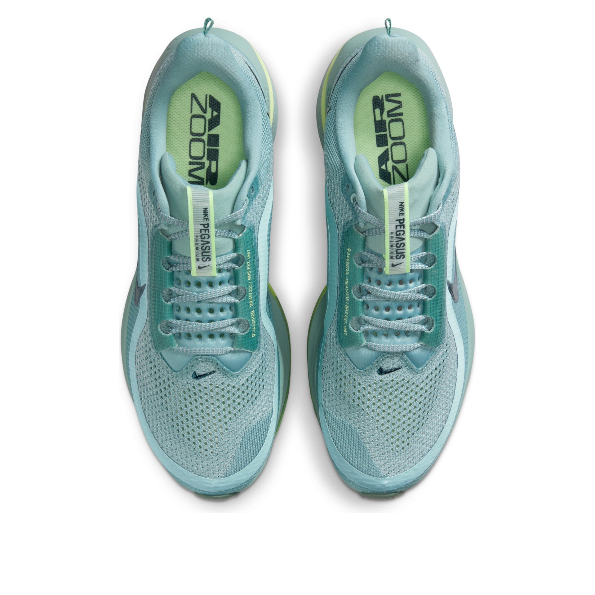 Nike Air Zoom Pegasus Premium 'Cannon' HQ2592-009