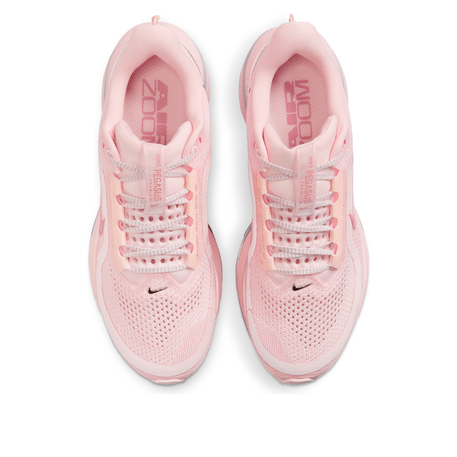 (WMNS) Nike Pegasus Premium 'Atmosphere' HQ2593-601