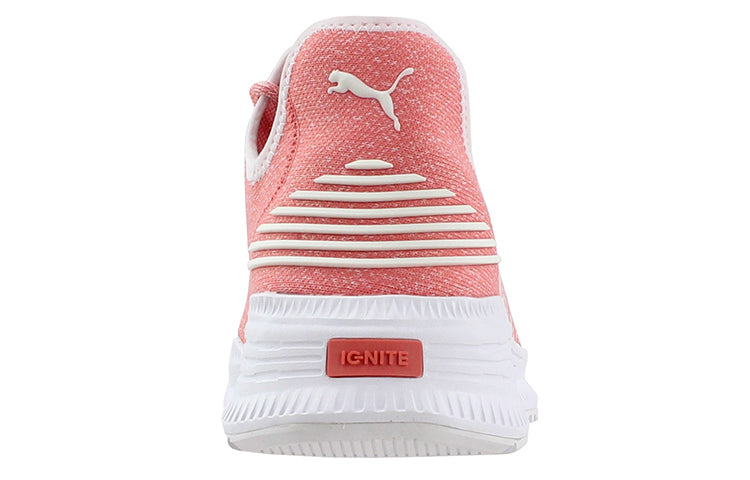 PUMA Avid Evoknit Low Top Pink 365392-06
