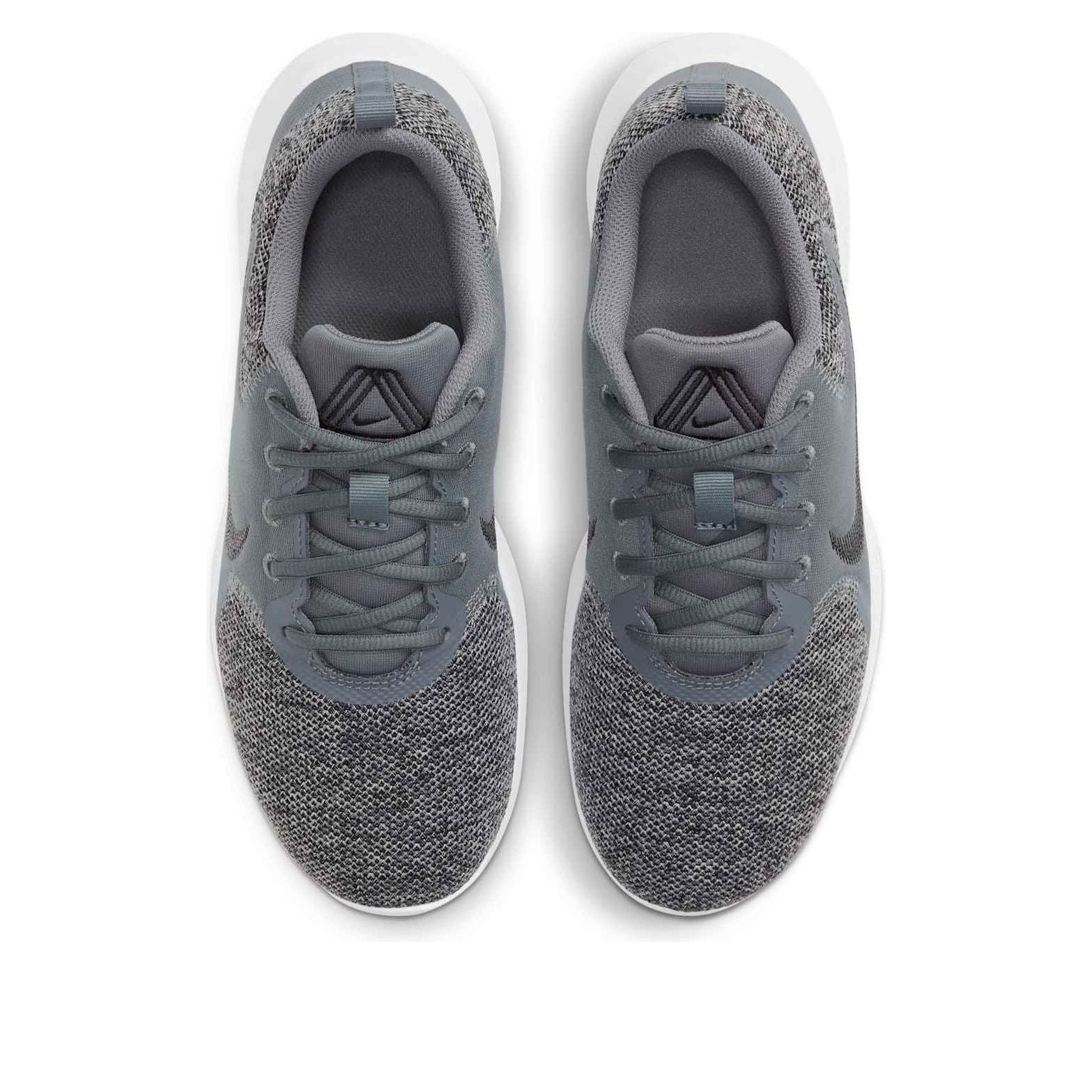 Nike Flex Experience Run 10 'Smoke Grey' CI9960-004