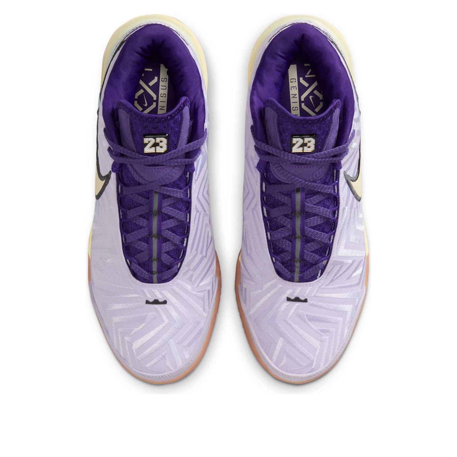 Nike LeBron NXXT Genisus 'Amethyst Tint' IH2370-500