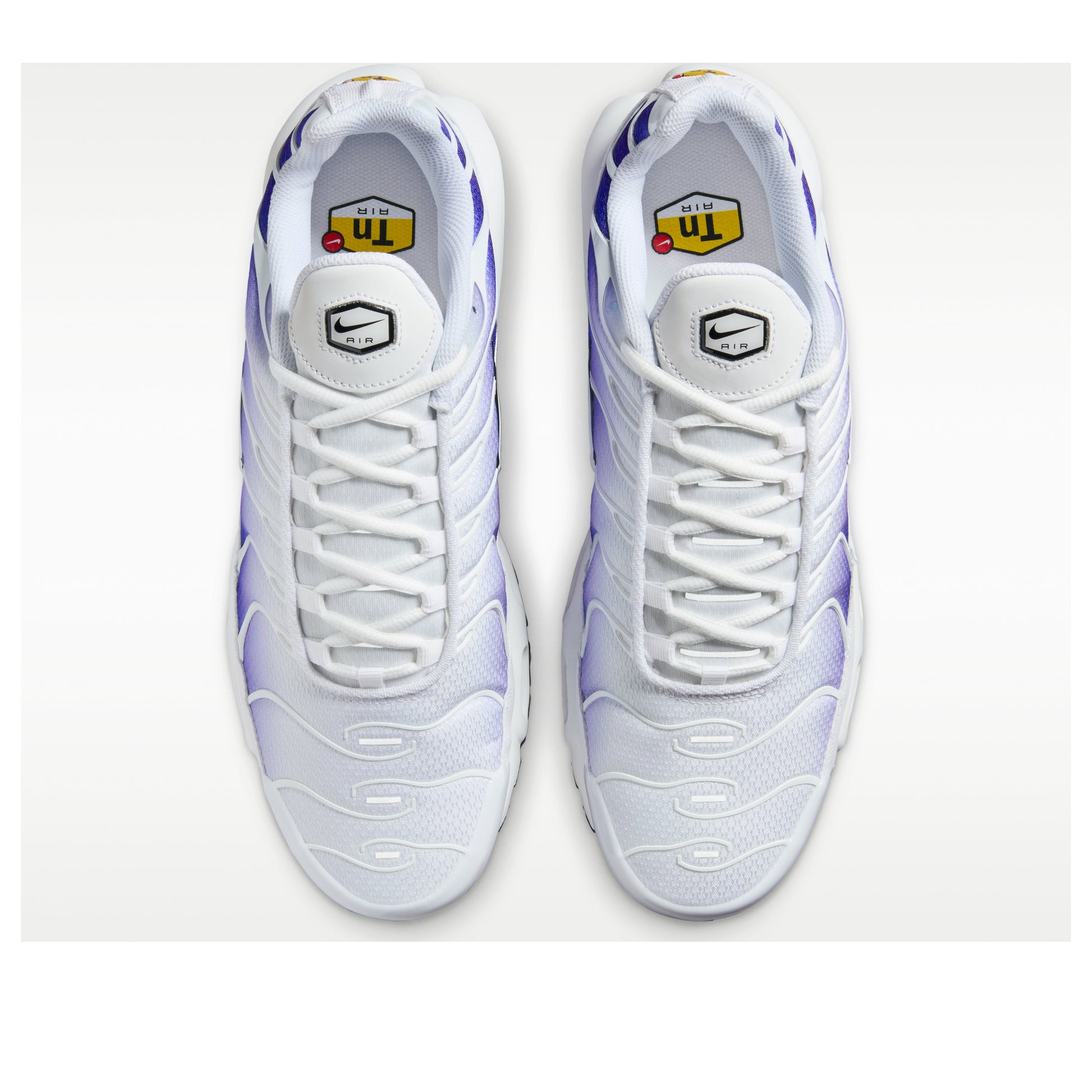 Nike Air Max Plus 'White Wild Grape' DM0032-105