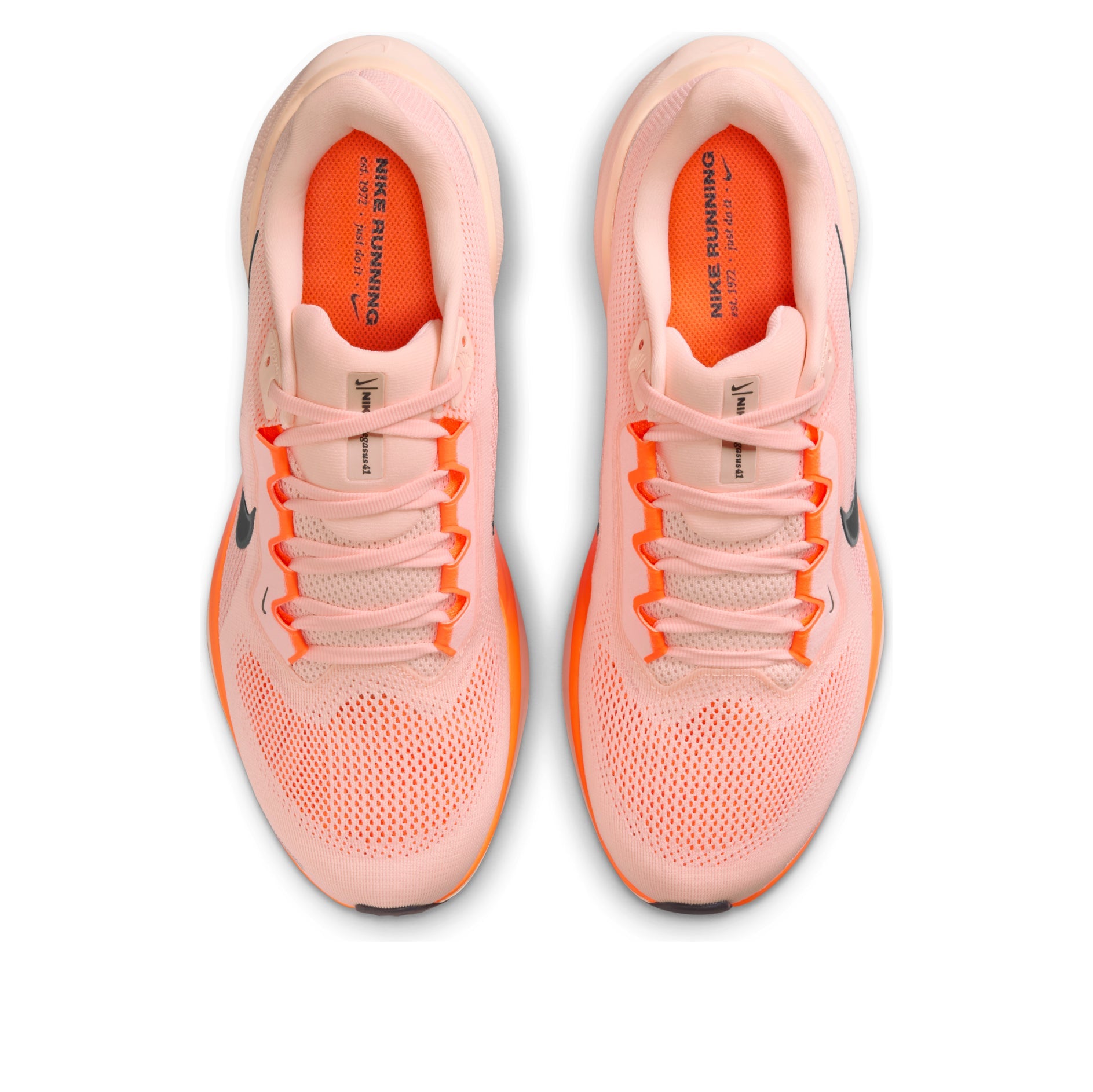 Nike Air Zoom Pegasus 41 'Crimson Tint Washed Coral'  FD2722-801