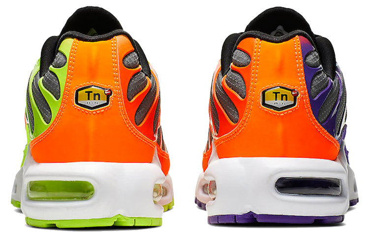 Nike Air Max Plus 'Color Flip' CI5924-061