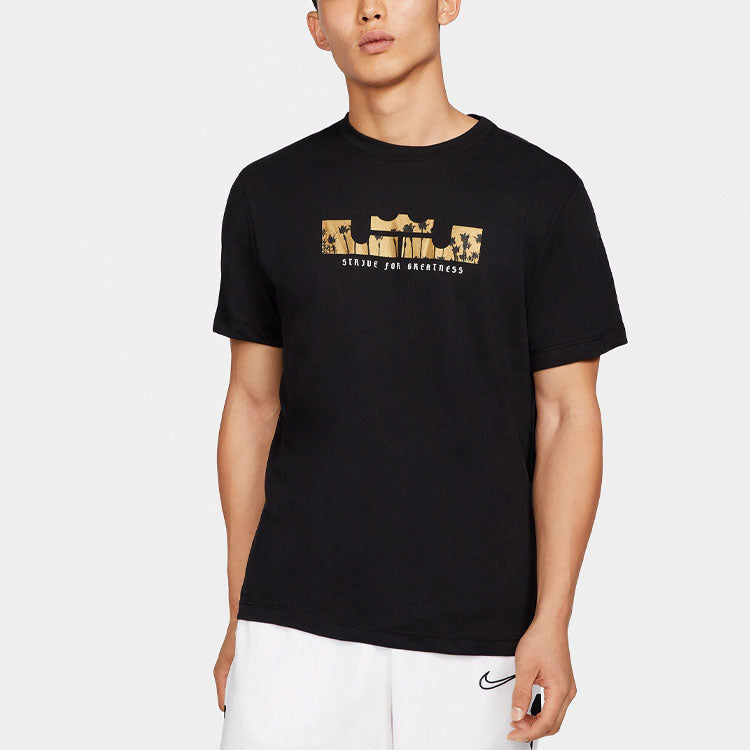 Men's Nike Dri-fit Lebron Casual Sports Basketball Short Sleeve T-Shirt DB6179-011