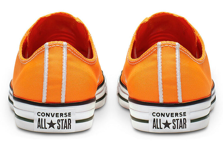 Converse Chuck Taylor All Star Summer Sport Low 164413C