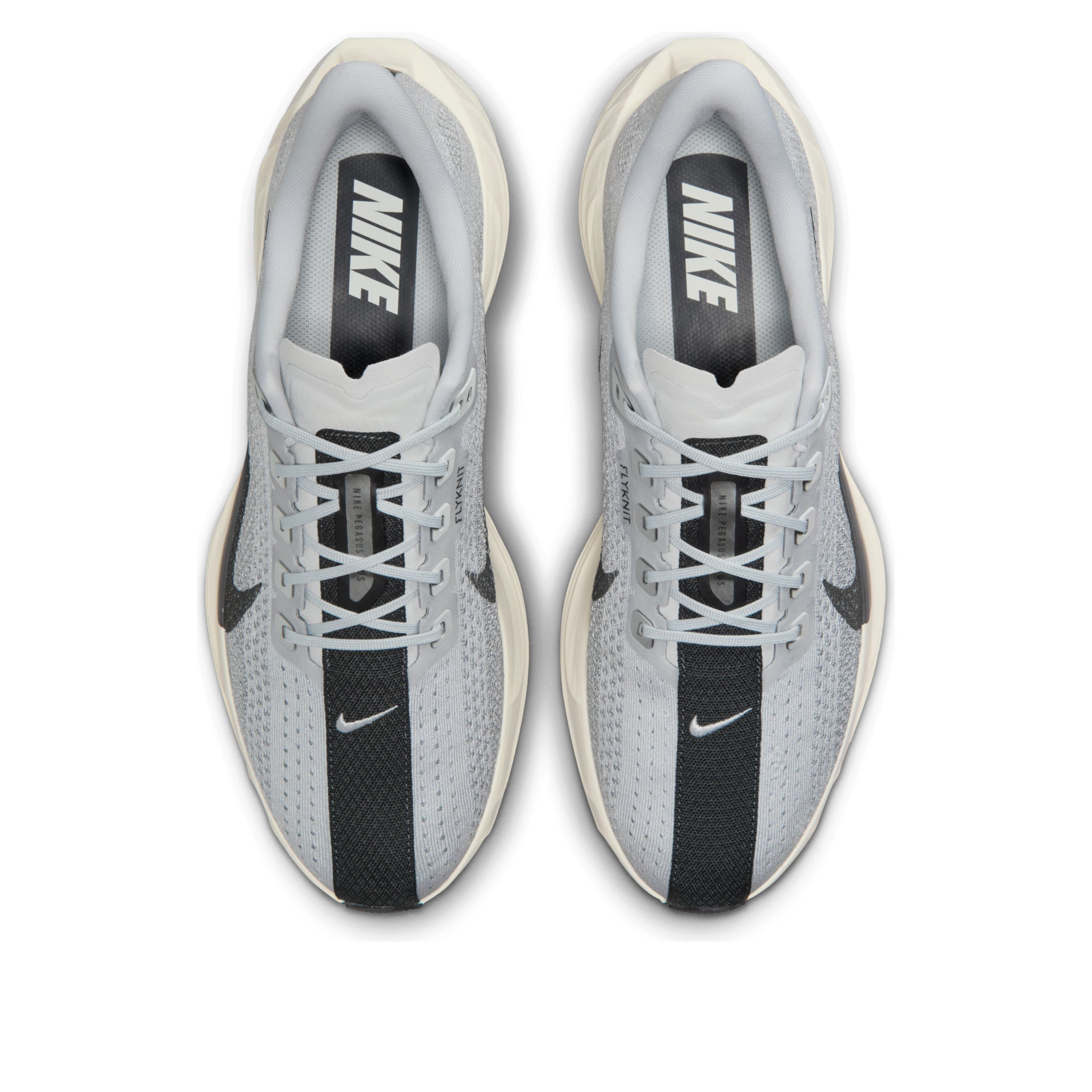Nike Pegasus Plus 'Pure Platinum Wolf Grey' FQ7262-017