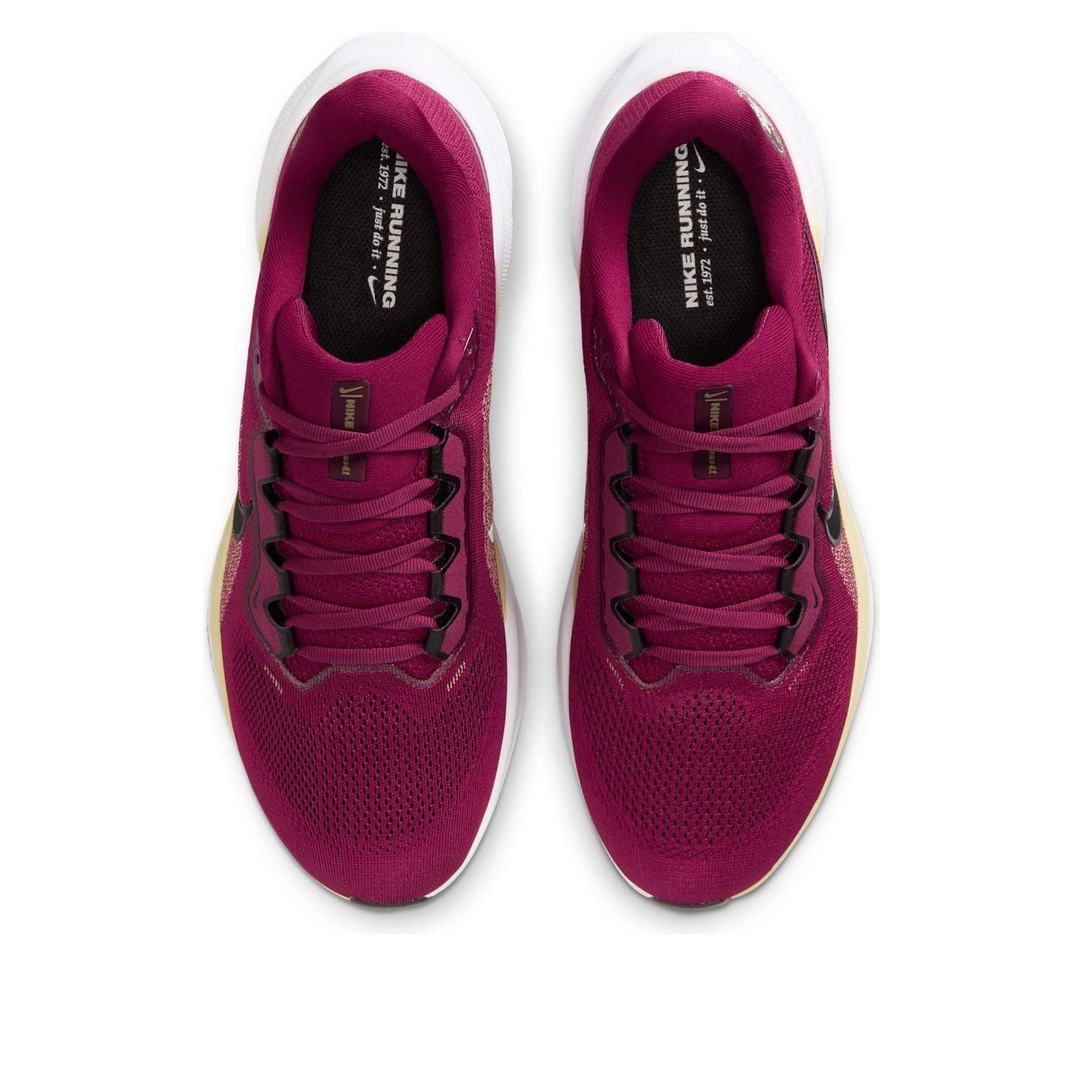 Nike x NCAA Pegasus 41 'FSU' IB3255-600