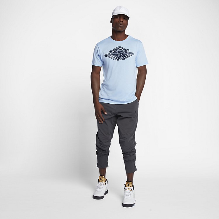 Apparel s Men Air Jordan Iconic Wings Logo Tee 834476-458
