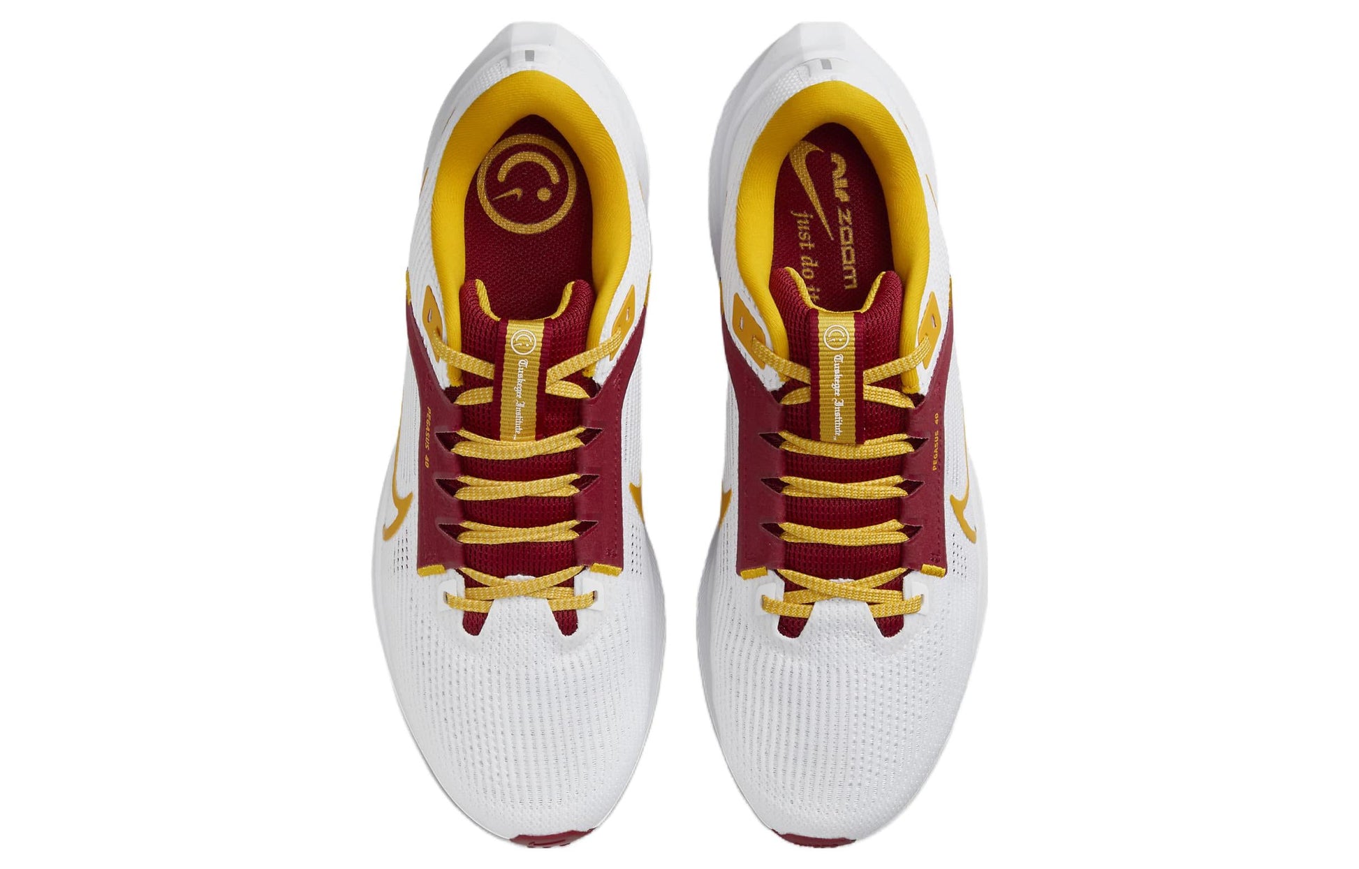 Nike Air Zoom Pegasus 40 'Tuskegee' DZ6004-100