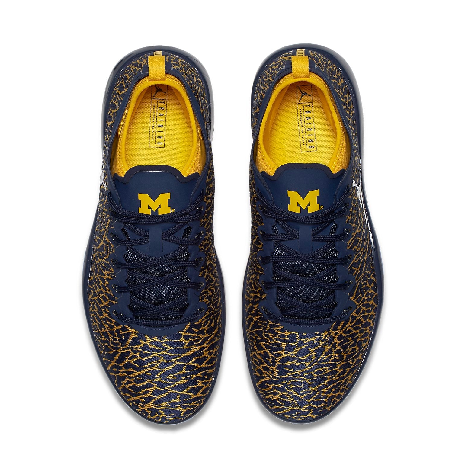 Air Jordan Trainer 1 Low 'Michigan' 845403-420