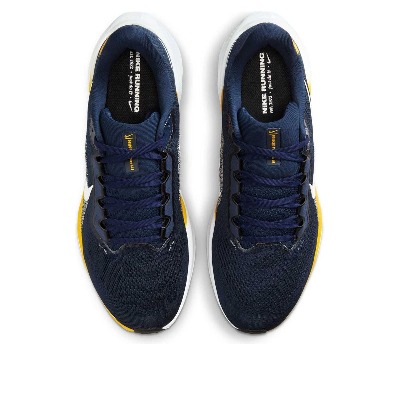 Nike x NCAA Pegasus 41 'Michigan' IB3269-400