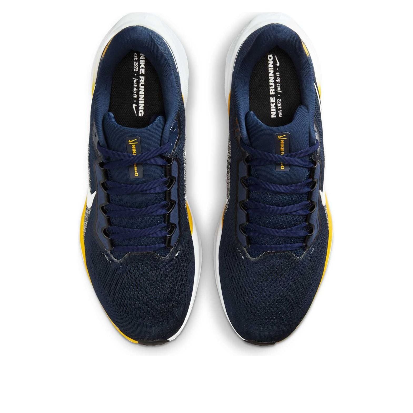Nike x NCAA Pegasus 41 'Michigan' IB3269-400
