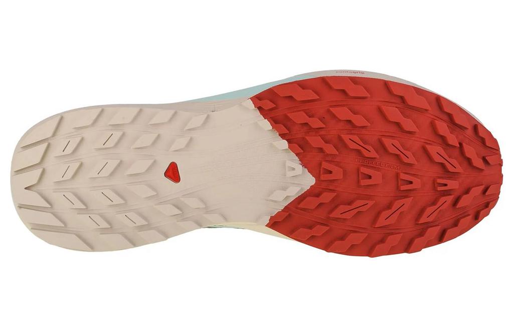 SALOMON Sense Ride 5 'Green' 472117