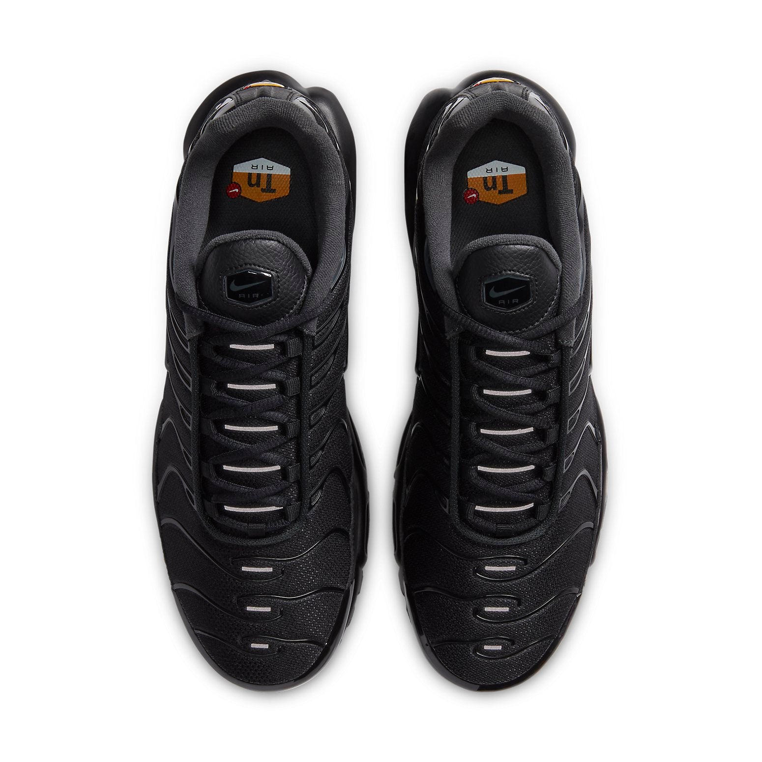 Nike Air Max Plus 'Black Dark Smoke Grey' CT1097-001